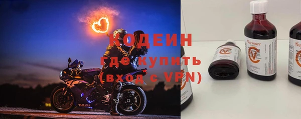 крисы Горняк