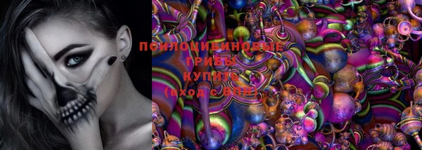 крисы Горняк
