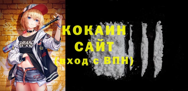 крисы Горняк