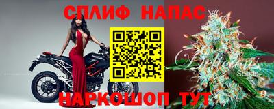 стафф Краснознаменск
