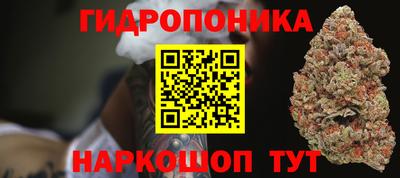 стафф Краснознаменск