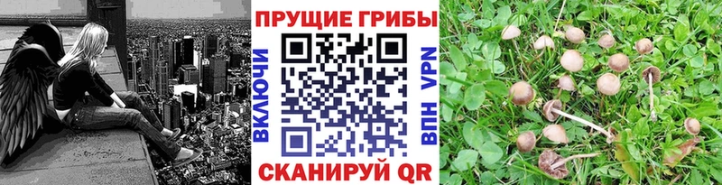 Псилоцибиновые грибы MAGIC MUSHROOMS  мориарти формула  Можайск 