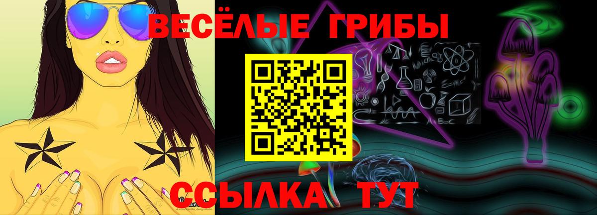 Псилоцибиновые грибы Psilocybe Можайск