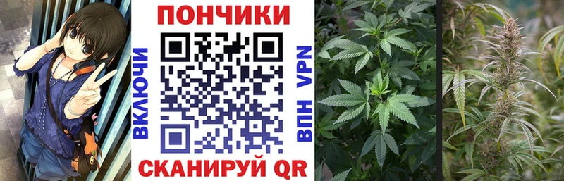 цена Можайск Канабис гибрид
